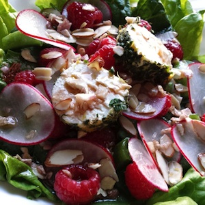 Cranberry and Citrus Herb Goat Cheese Salad Recipe